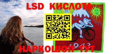 стафф Дубна