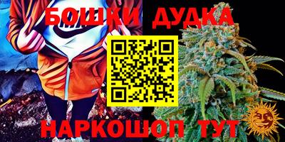 стафф Дубна