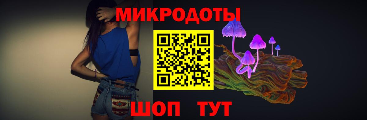 Галлюциногенные грибы Psilocybe Михайловск